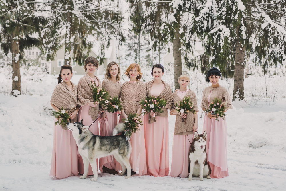Подружки невесты  и хаски на зимней свадьбе Александра и Марии