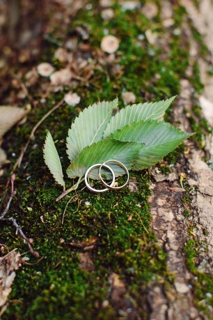 Обручальные кольца на мху и листьях