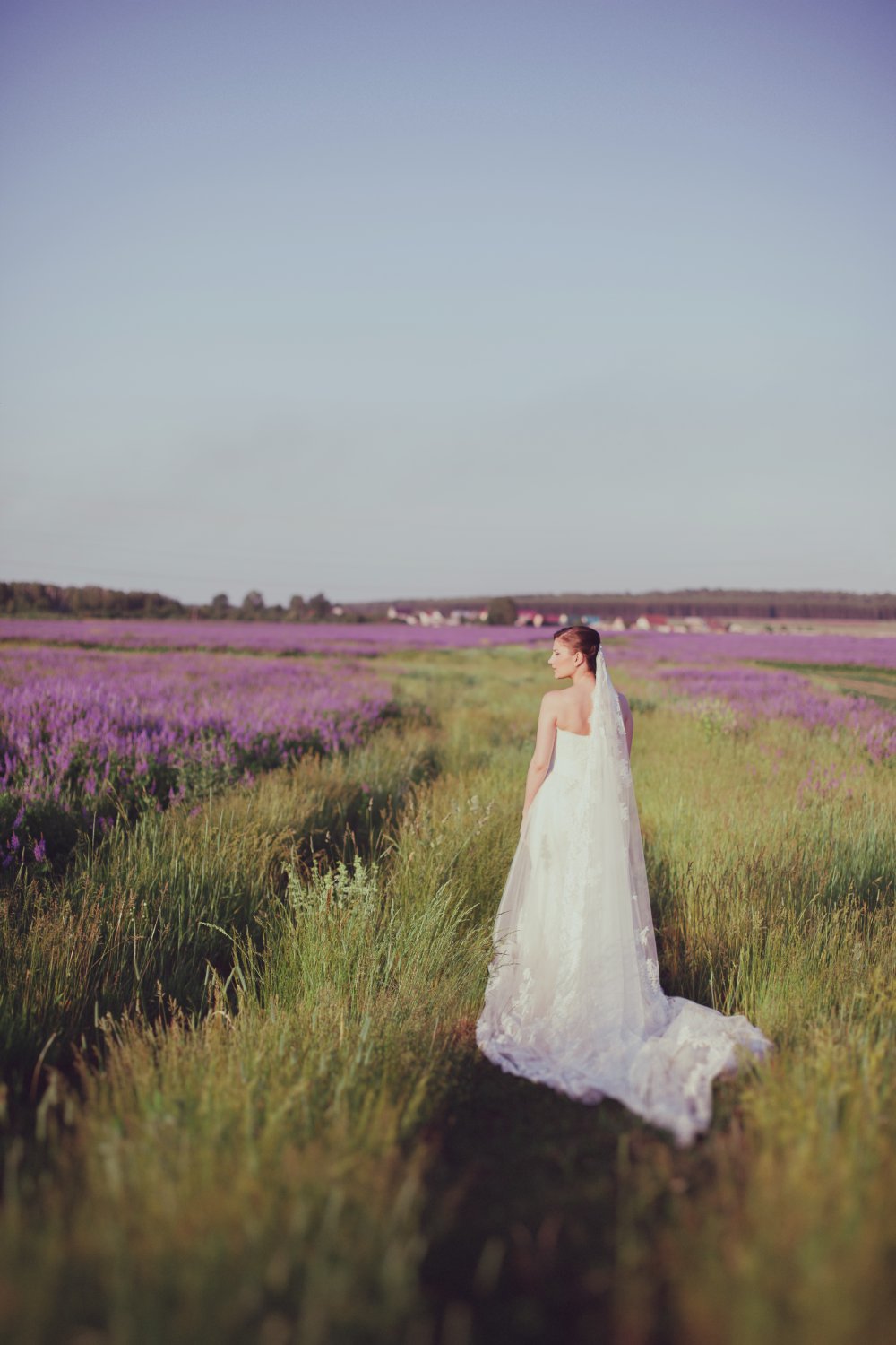 Невеста в лавандовом поле
