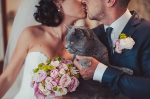 Любимый кот на свадьбе