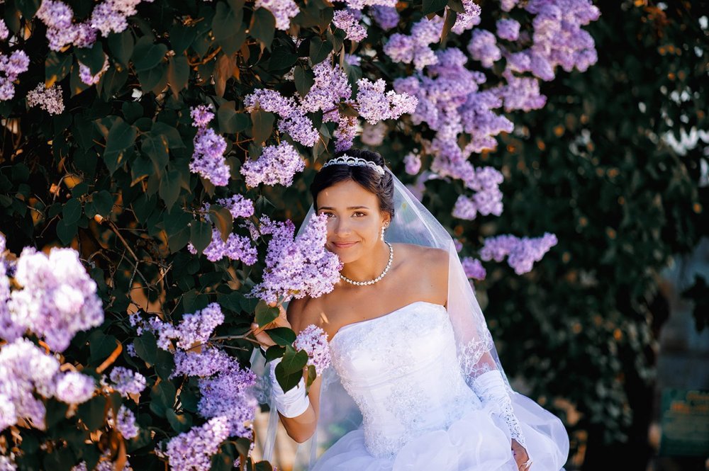 Невеста в цветущем сиреневом саду