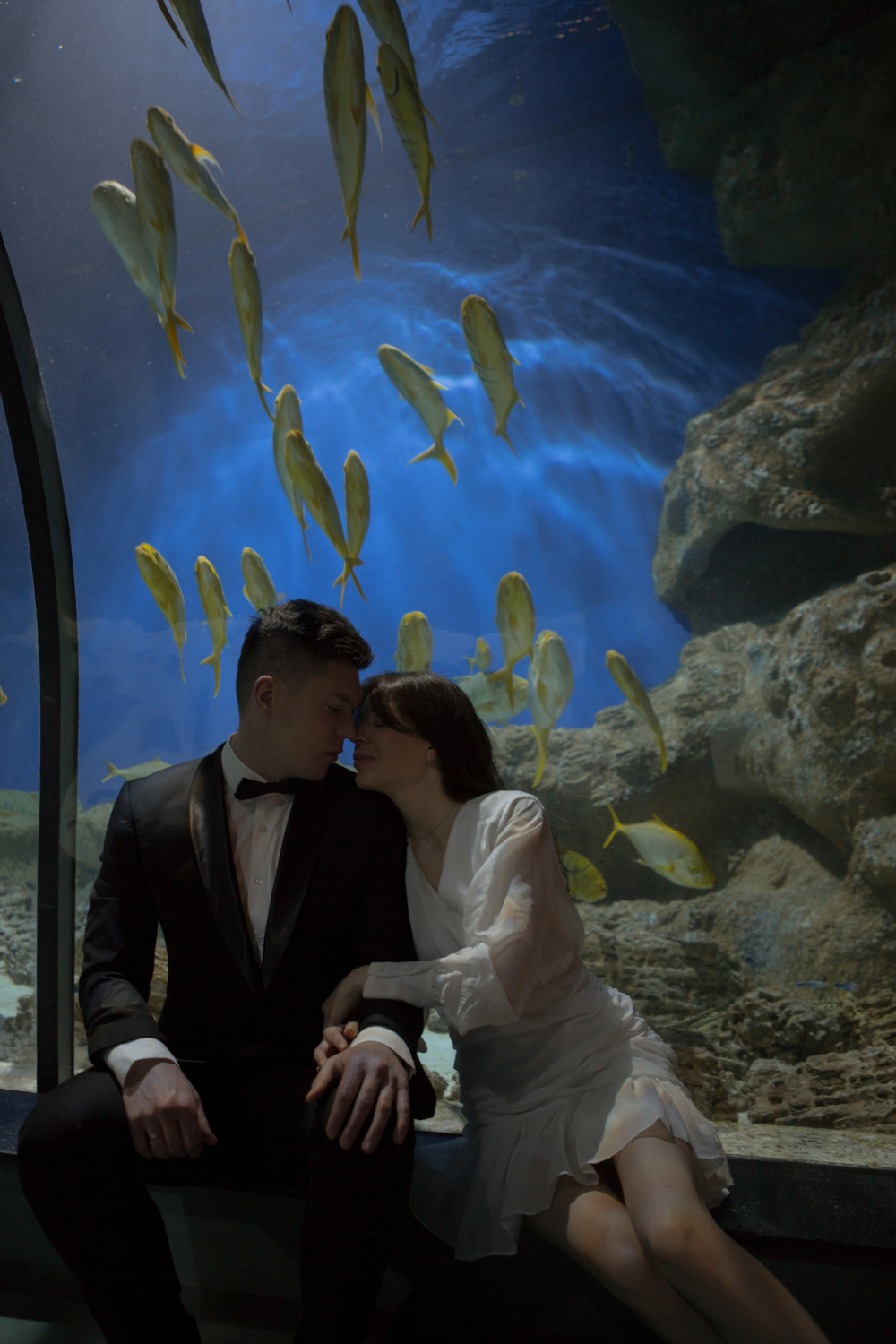 Свадебная фотосессия в океанариуме
