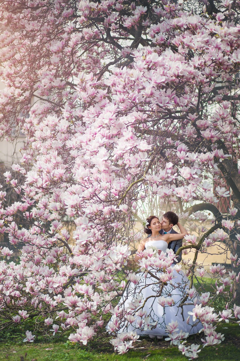 Весна в Праге, цветут магнолии, просыпается природа и любовь
