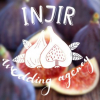 INJIR wedding agency