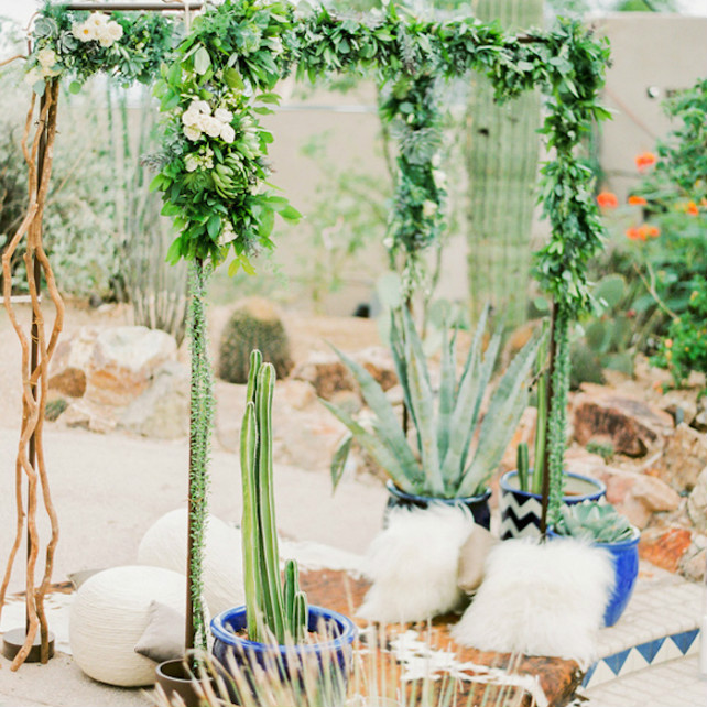Очарование пустыни: кактусы на летней свадьбе