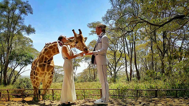 пара из США решила отпраздновать свою свадьбу в разных уголках Земли 38 раз, Кения