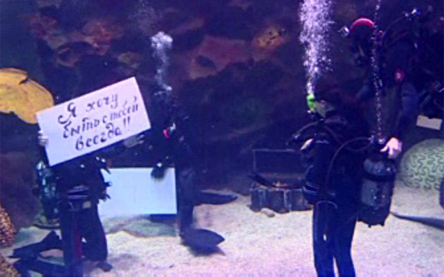 житель Астаны сделал предложение девушке в аквариуме с акулами