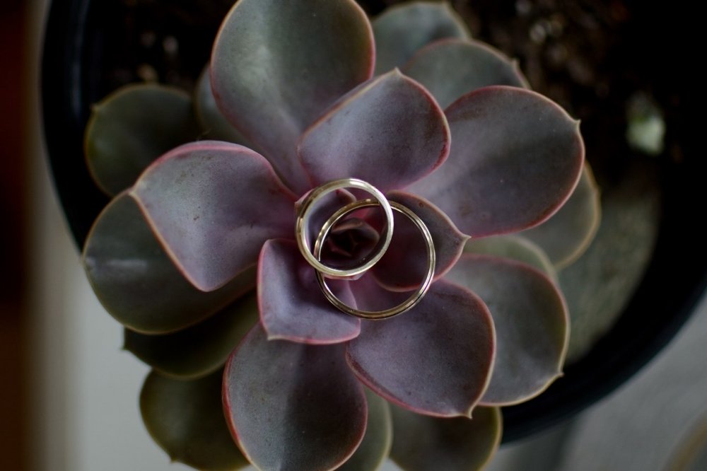 Обручальные кольца из белого золота, выполнены по идее молодоженов.