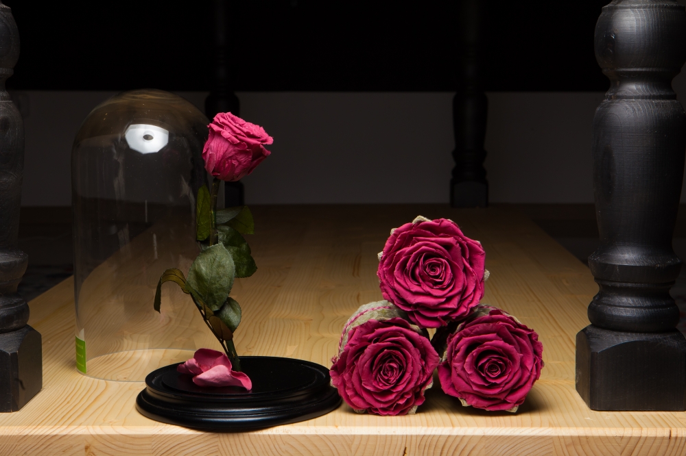 Неувядающая роза и долговечные стаканчики с розой