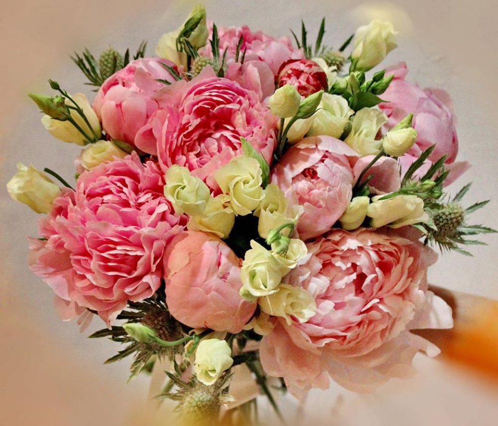 Пионы, мы их обожаем! Как жаль что сезон их только весна и лето :(