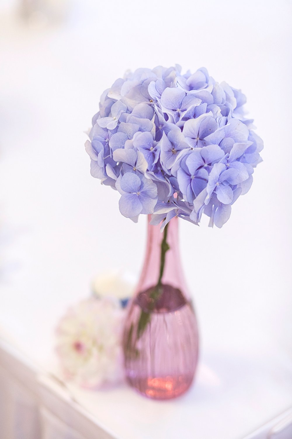 Нежная зима