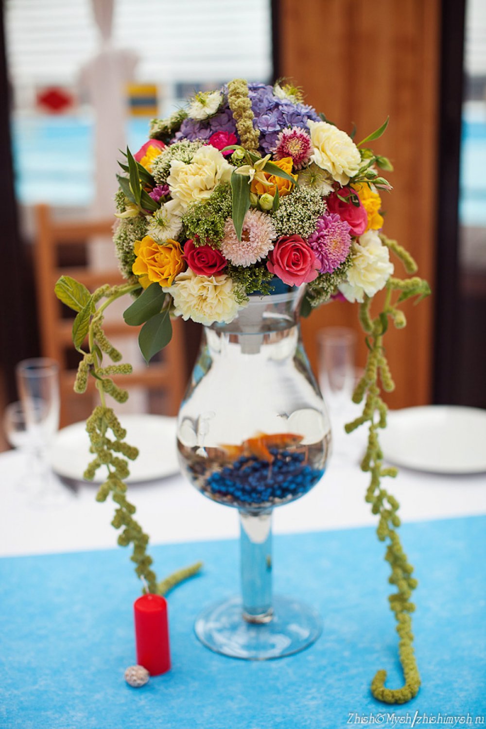 Золотые рыбки