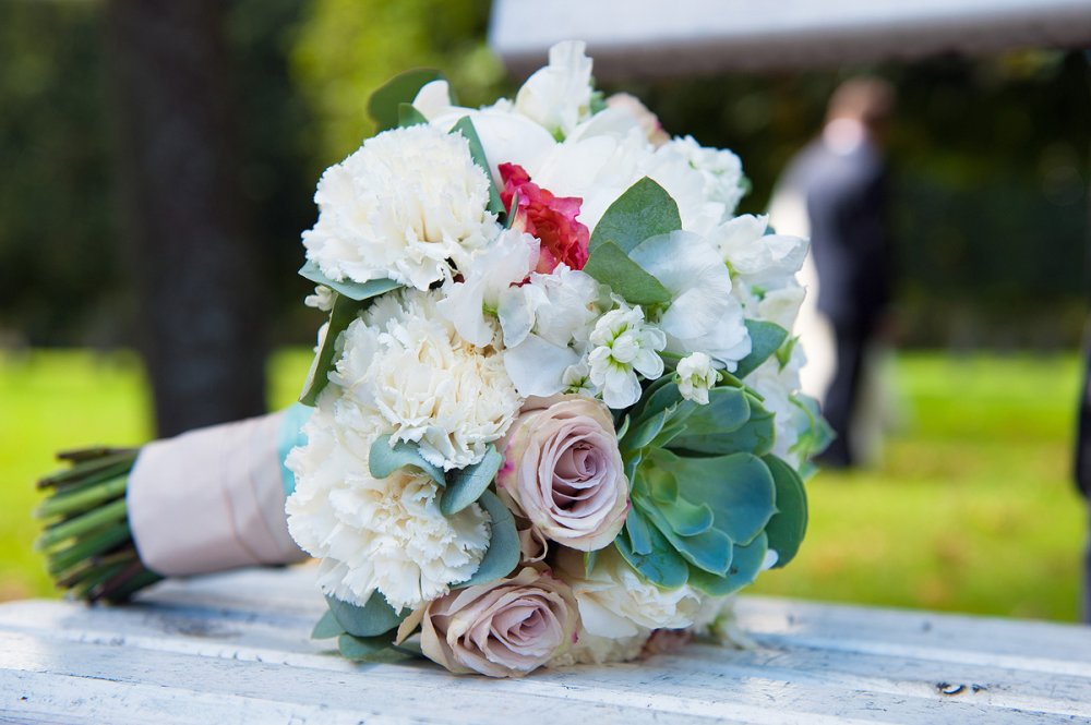 розы, гвоздики, матиола, латирус, суккуленты