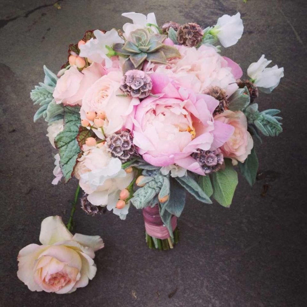 пионы, пионовидные розы, латирус, стахус