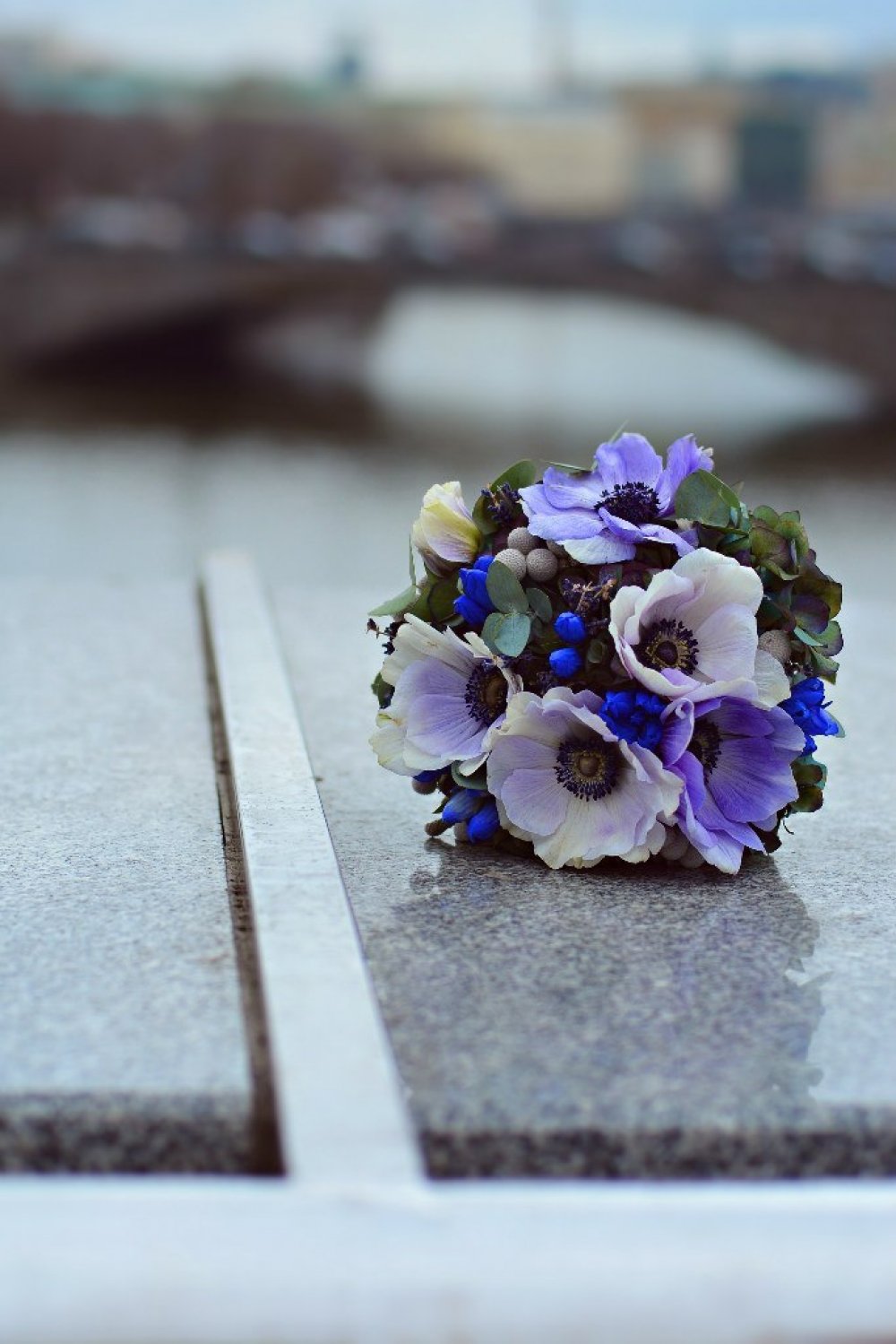 анемоны, гентиана, гортензия