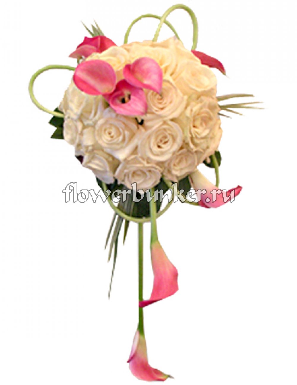 Букет невесты "Фламинго"
Состав: Букет на своих ногах, роза Аваланш17шт., калла розовая 9шт, берграсс, рускус изр., декор.
Размер: D25*H20см.