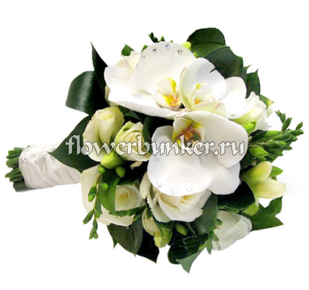 Свадебный букет "Жасмин"
Состав: Букет на своих ногах, роза аваланш 9шт., фаленопсис белый, фрезия 19шт., салал, аспидистра, декор.