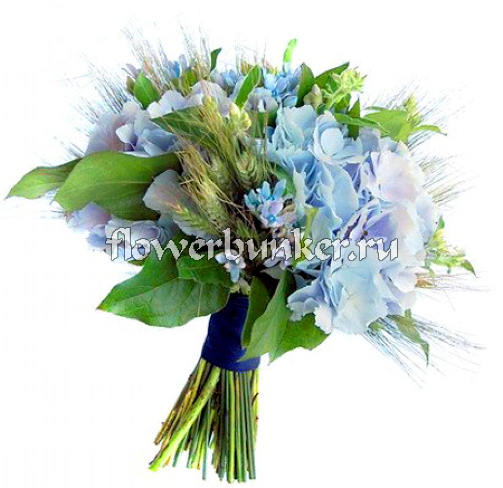 Букет невесты "Фионит"
Состав: Букет на своих ногах, рожь крашеная голубая или обычная., гортензия 2шт., салал, фрезия голубая 19шт., декор.