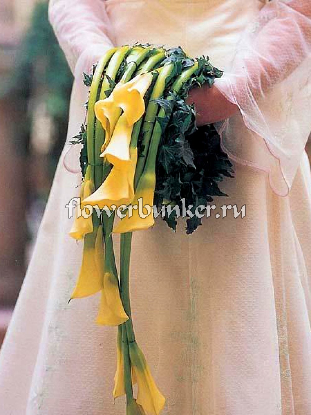 Букет невесты "Фрида"
Состав: Букет-муфта, каркас, хедера хеликс бонд темная, каллы 11шт., декор.