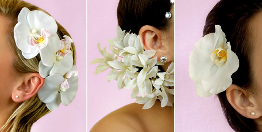 Вариант №1 Орхидея Фаленопсис, декор-
400 руб.
Вариант №2Кливия, декор	-750 руб.
Вариант №3Орхидея Фаленопсис , декор-200руб.