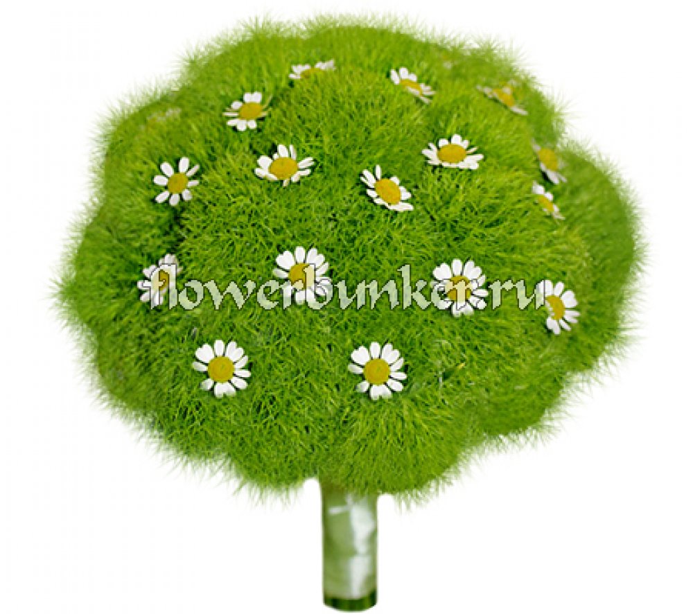 Свадебный букет "Ромашка"
Состав: гвоздика Green trik barbatus, матрикария, портручка, декор.