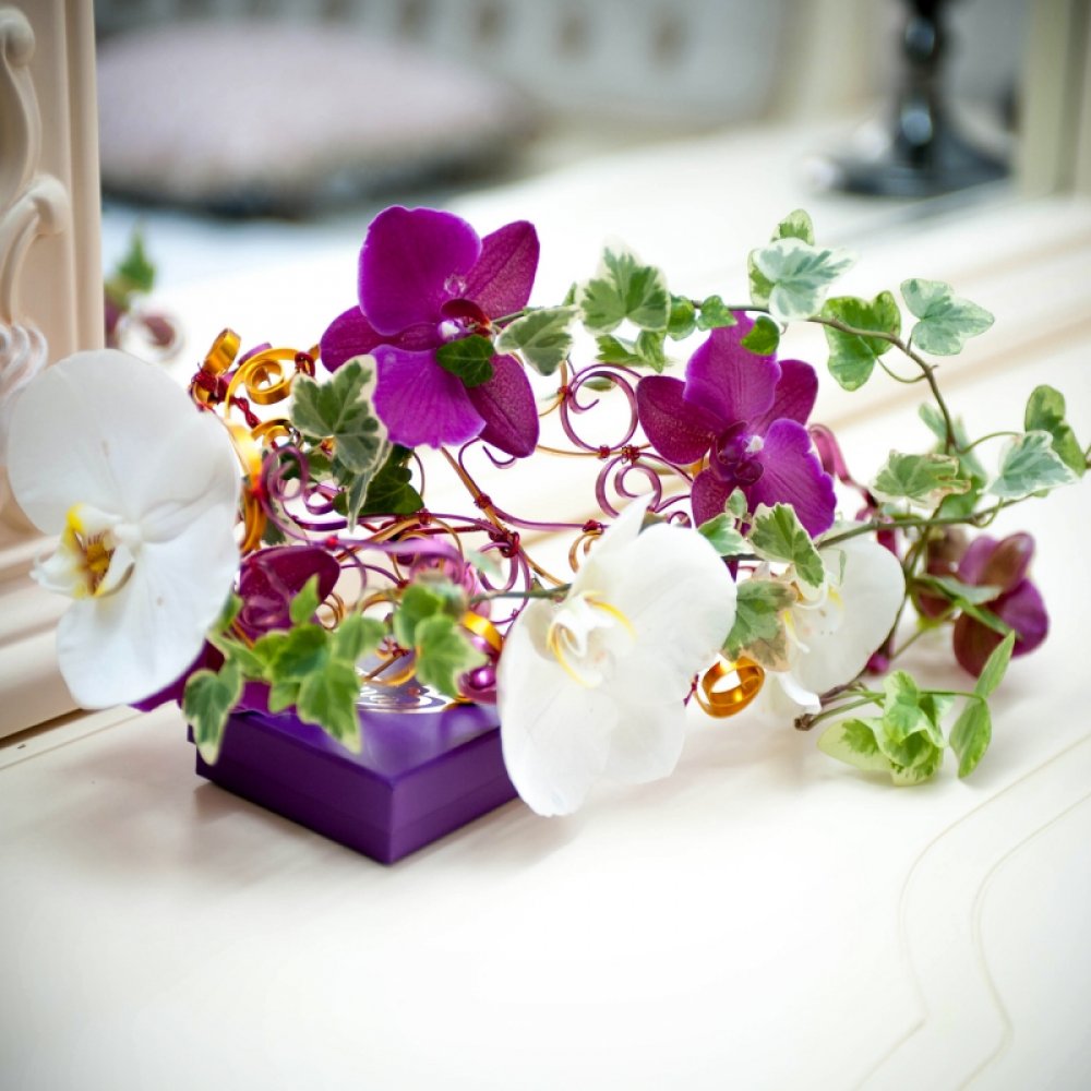 Каркас, фаленопсис, плющ