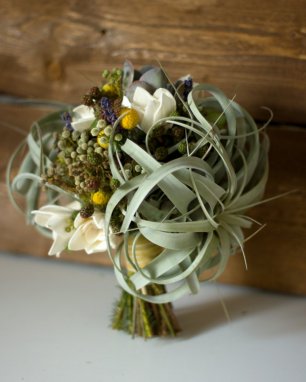 Тиллансия, эхиверии, сухоцветы - вечный букет