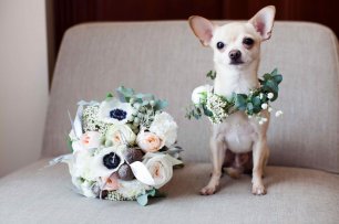 Букет невесты и маленький помощник