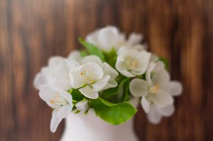 Яблони на шпильках