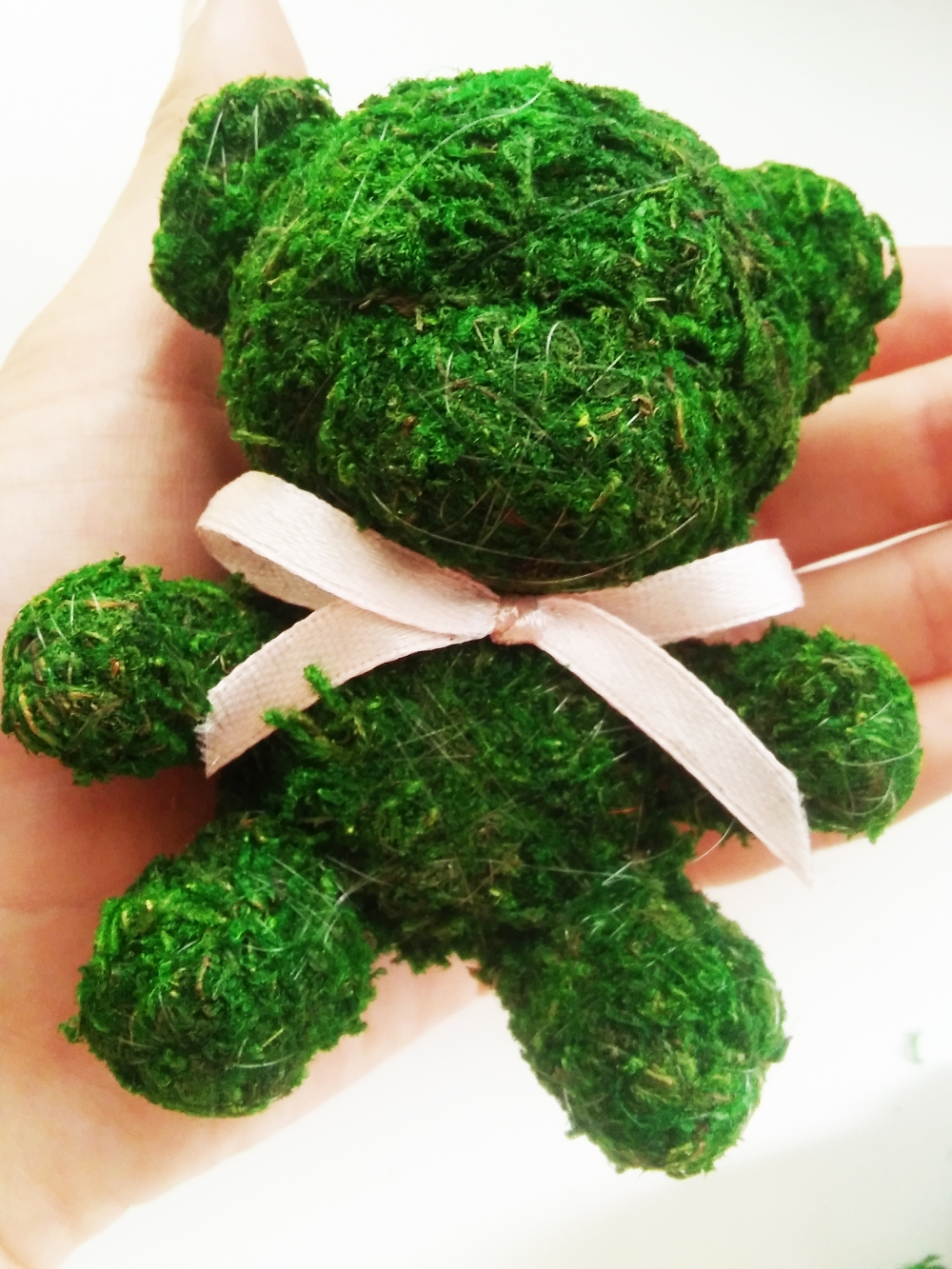 Сайт - http://floraug.ru 
Телефон - 8-928-102-82-35   

ВКонтакте - https://vk.com/kupitczvety 
Одноклассники - https://ok.ru/group/53509618991193  
Твиттер - https://twitter.com/flora_ug 
Инстаграм - https://www.instagram.com/flora_ug/
