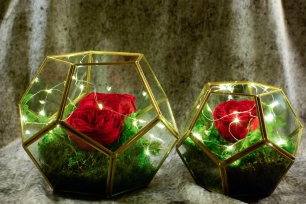 Цветочные композиции