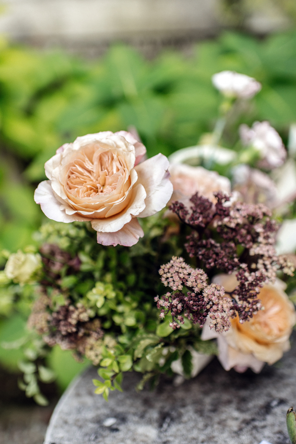 Итальянские краски