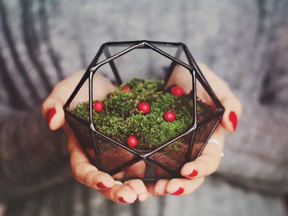 Сайт - http://floraug.ru 
Телефон - 8-928-102-82-35 

ВКонтакте - https://vk.com/kupitczvety 
Одноклассники - https://ok.ru/group/53509618991193 
Твиттер - https://twitter.com/flora_ug 
Инстаграм - https://www.instagram.com/flora.ug/