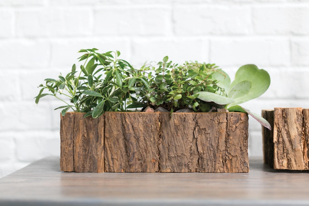 Сайт - http://floraug.ru 
Телефон - 8-928-102-82-35 

ВКонтакте - https://vk.com/kupitczvety 
Одноклассники - https://ok.ru/group/53509618991193 
Твиттер - https://twitter.com/flora_ug 
Инстаграм - https://www.instagram.com/flora.ug/