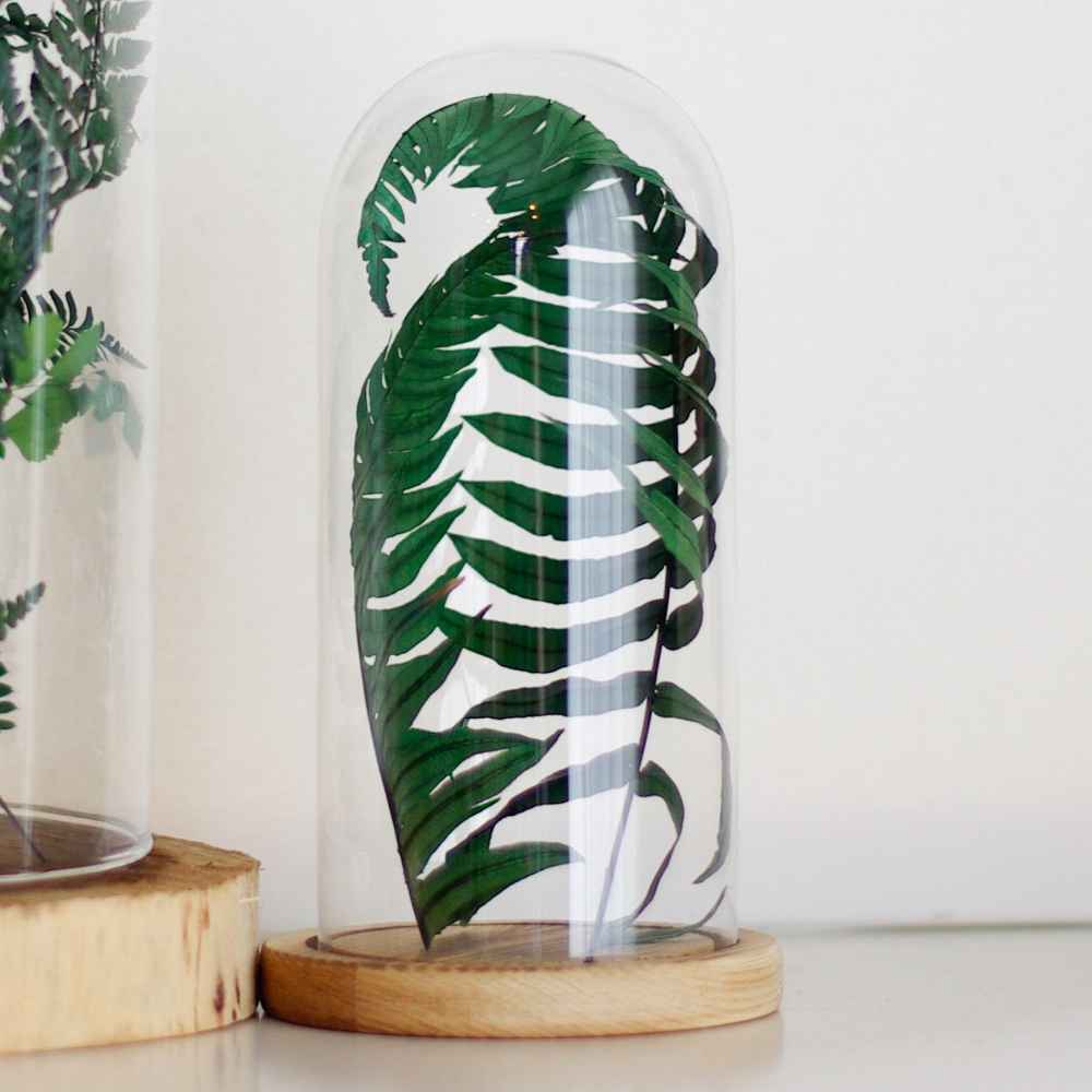 Сайт - http://floraug.ru 
Телефон - 8-928-102-82-35 

ВКонтакте - https://vk.com/kupitczvety 
Одноклассники - https://ok.ru/group/53509618991193 
Твиттер - https://twitter.com/flora_ug 
Инстаграм - https://www.instagram.com/flora.ug/