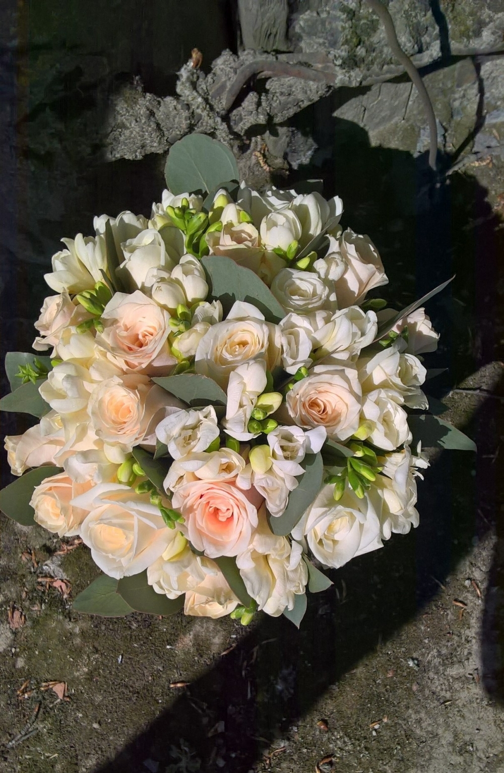 Классический по составу и форме, очень ароматный и нежный букет из голландских роз, фрезий и эвкалипта. Стоимость 2600 руб. 