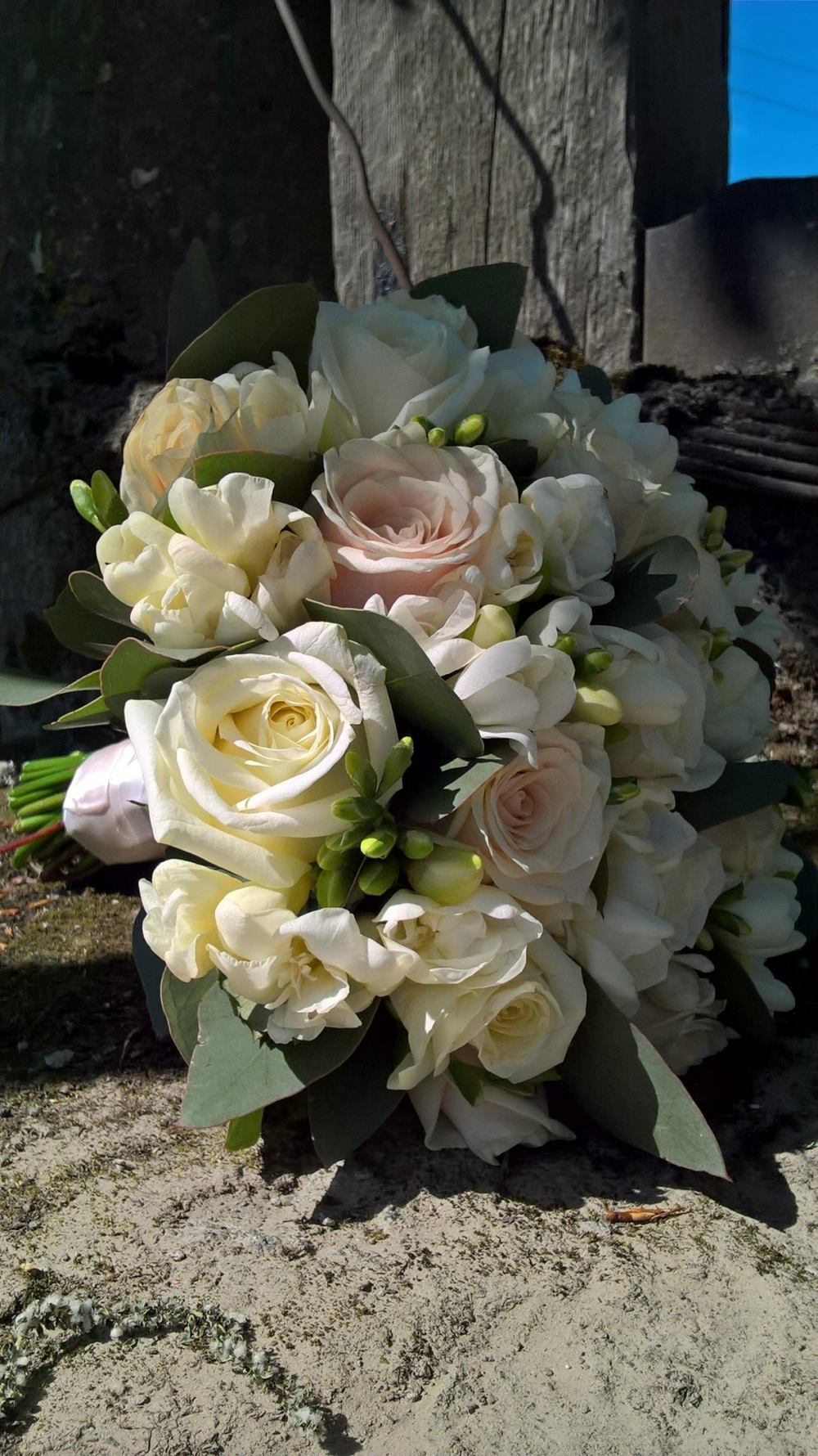 Классический по составу и форме, очень ароматный и нежный букет из голландских роз, фрезий и эвкалипта. Стоимость 2600 руб. 