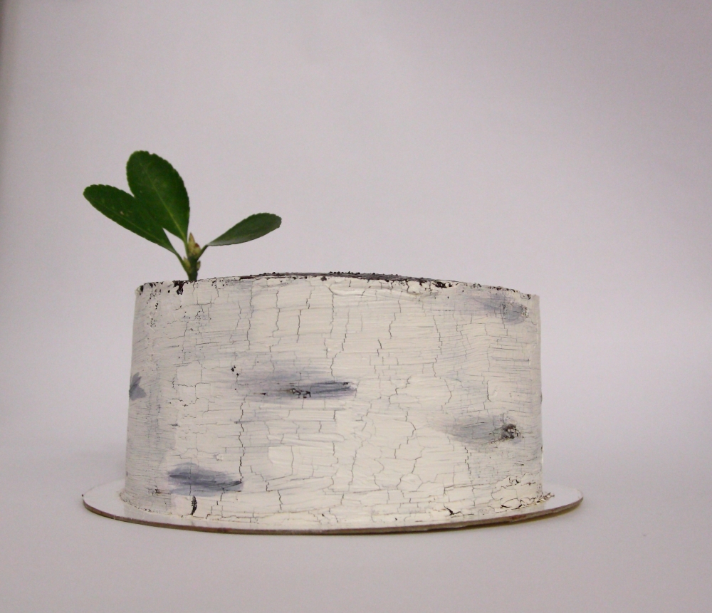 Торт в стиле "Рустик"