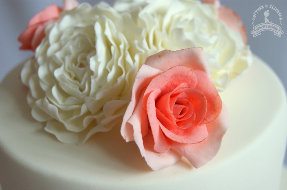 Изящная роза кораллового цвета. 