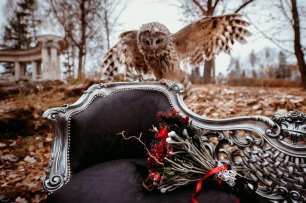 Бордовый свадебный букет