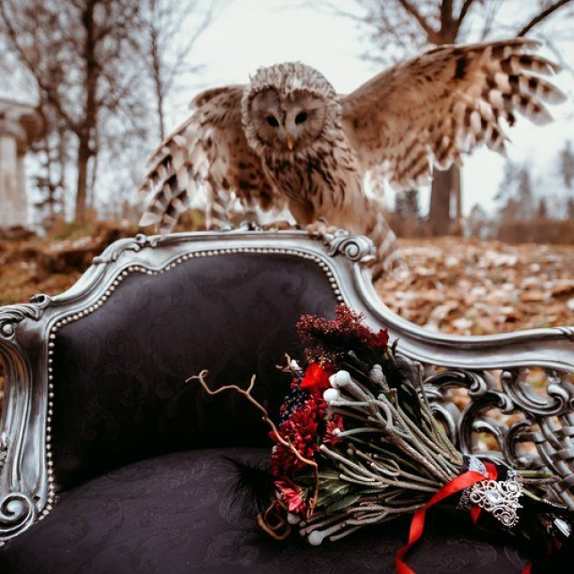 30 самых вдохновляющих фото февраля