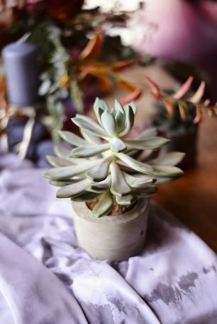 Фотопроект Fall in Love