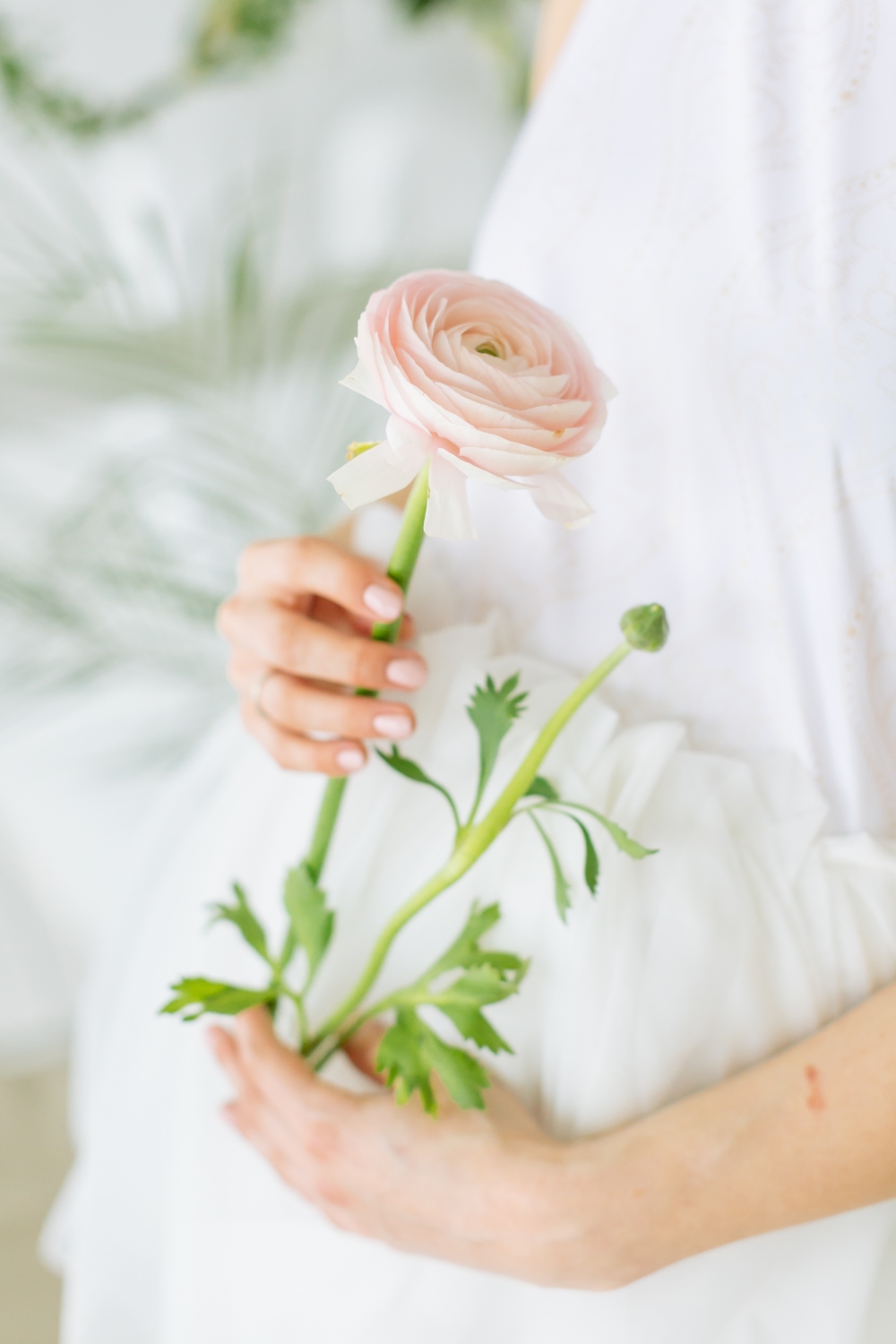 Botanical melody
Фото Лапочкина Ксения