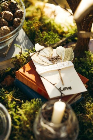 Сухая веточка в приглашении