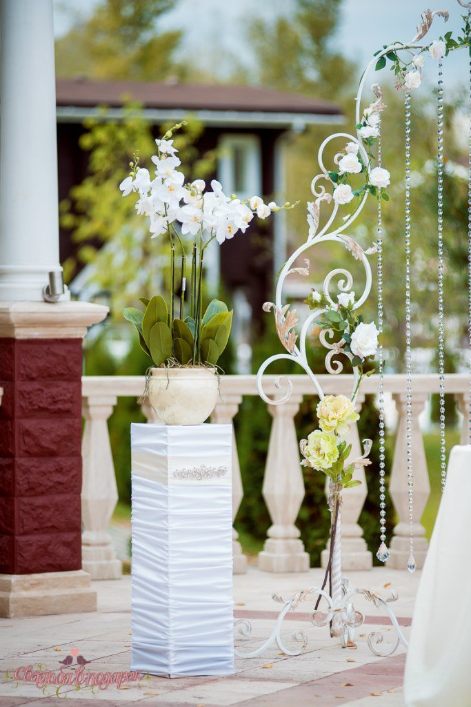 Свадьба Андрея и Лизы 30.09.2015 г. Парк-отель "Грумант"