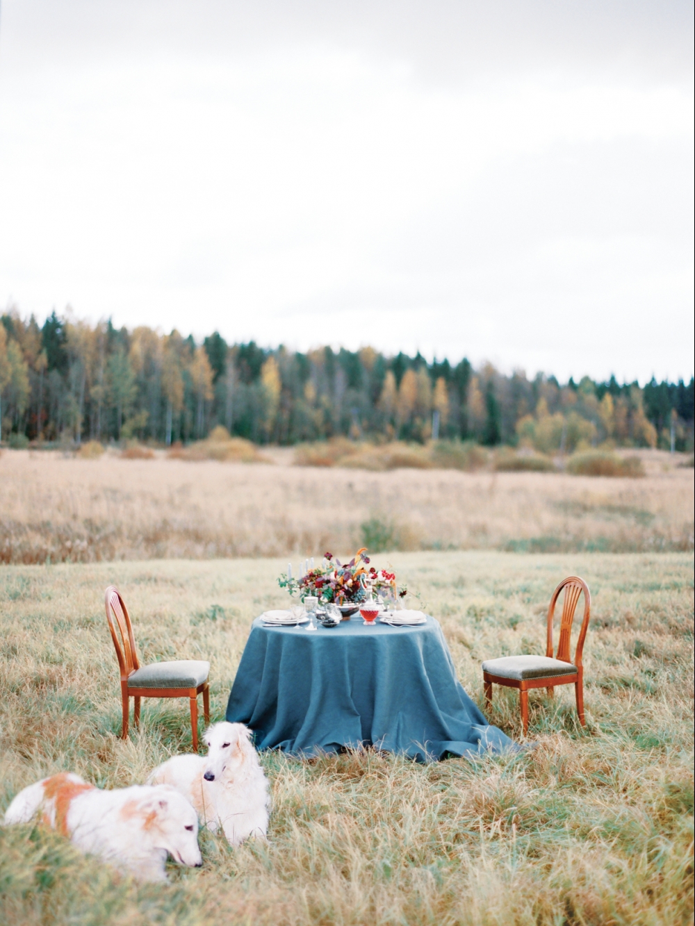 Оформление выездной лавстори
