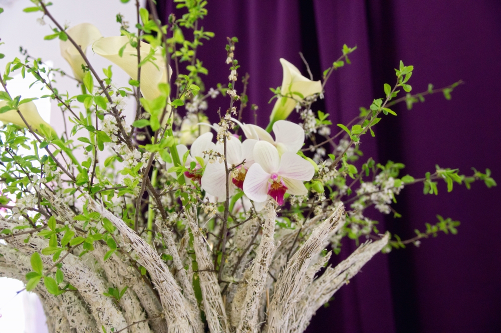 Ближе к природе....