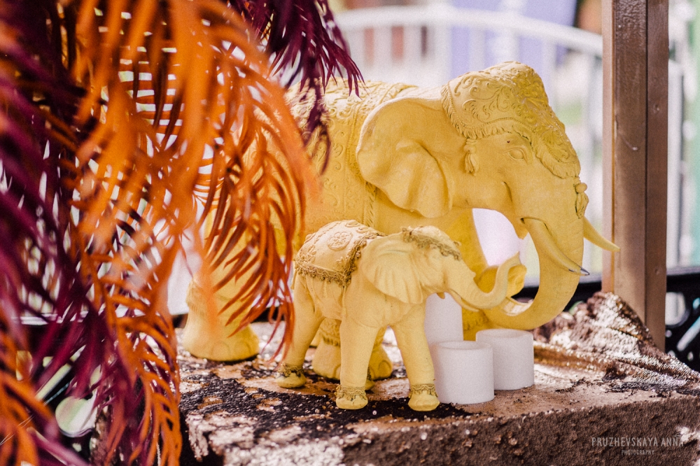 Сад Эрмитаж свадебная регистрация "Индонезия"