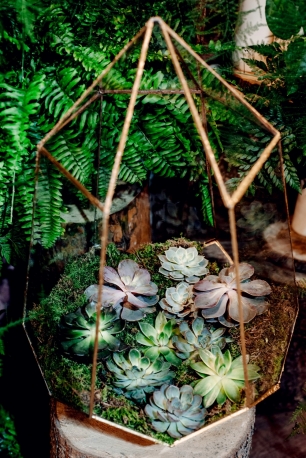 Флорариум в фотозоне