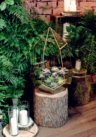 тренды флористики 2020, цветочная композция с суккулентами под стеклом, декор CAXAPDECOR